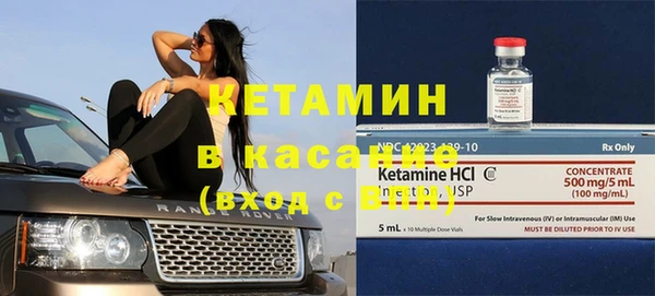 трава Абаза