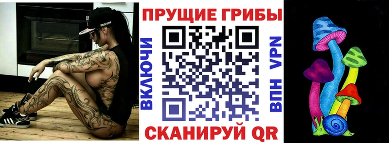 Псилоцибиновые грибы Magic Shrooms  Пучеж 