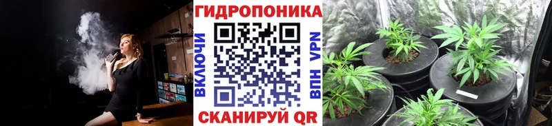 omg ссылка  Пучеж  Каннабис семена 